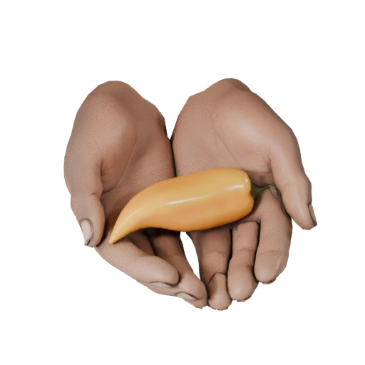 Render Tripo